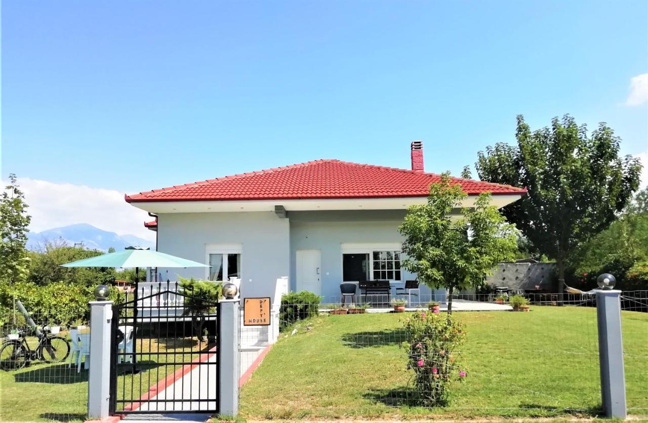 Deppy'S House Κοντά Στα Λουτρά Πόζαρ Chrysi Exterior foto
