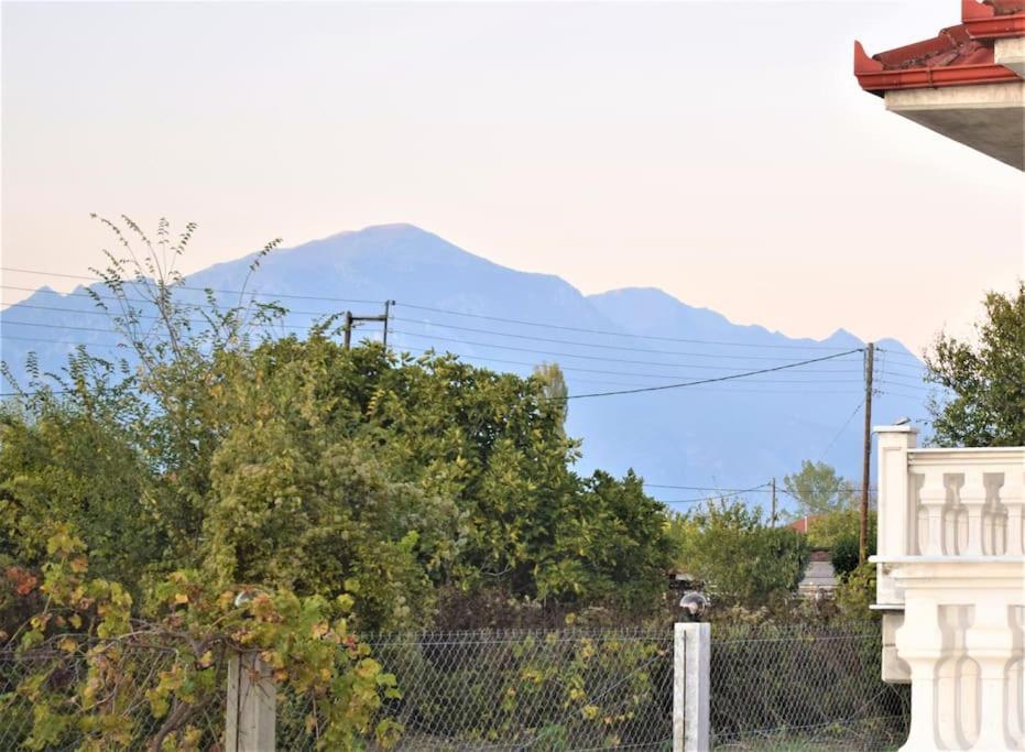 Deppy'S House Κοντά Στα Λουτρά Πόζαρ Chrysi Exterior foto